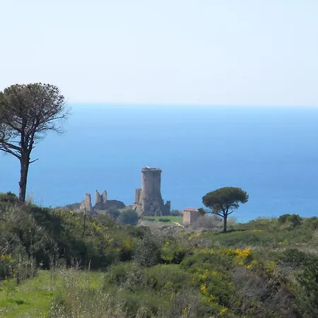 Bacco アシェーア